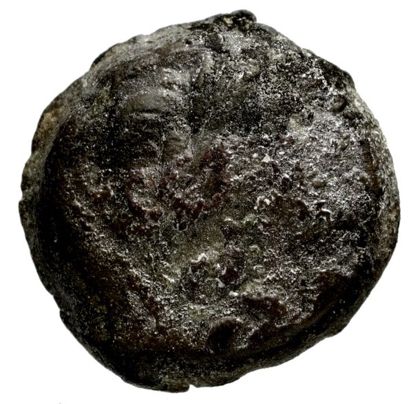 Seleucid Coins (part 2) 1339, аверс, bnf-hrc