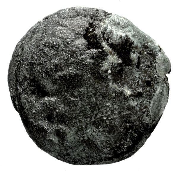 Seleucid Coins (part 2) 1339, аверс, bnf-hrc