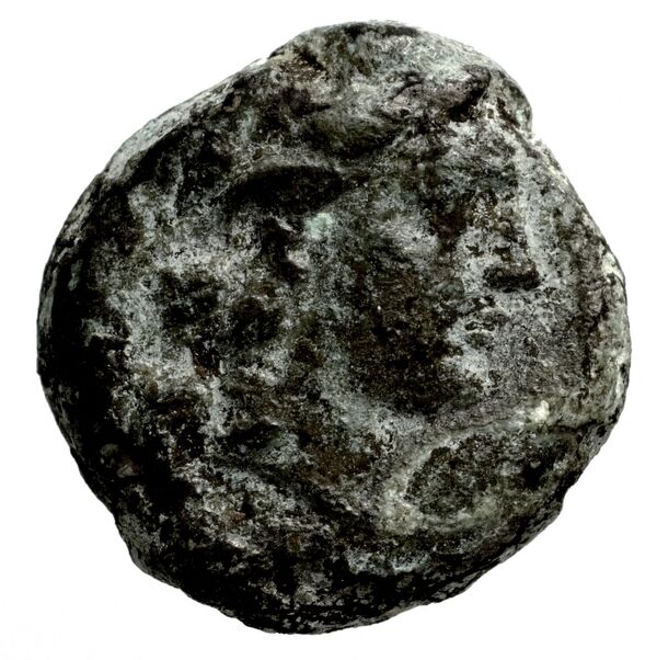 Seleucid Coins (part 2) 1339, аверс, bnf-hrc