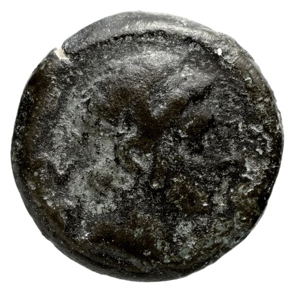 Seleucid Coins (part 1) 1219, аверс, BnF (HRC)