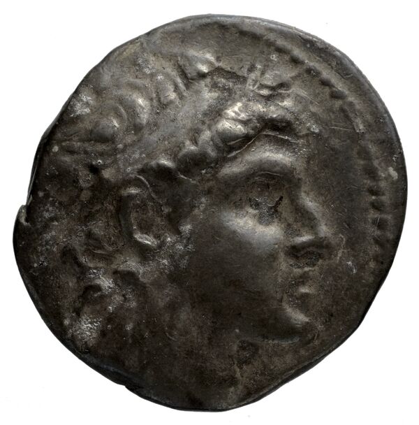 аверс Seleucid Coins (part 2) 1858.2