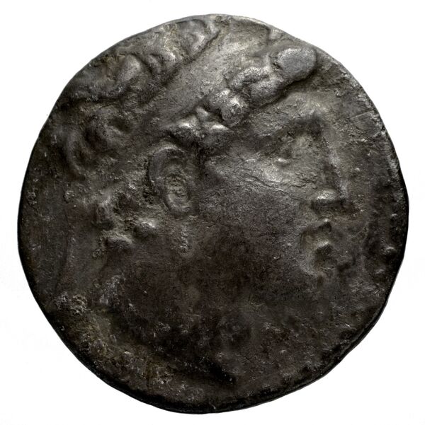 Seleucid Coins (part 2) 1858.2, аверс, BnF (HRC)