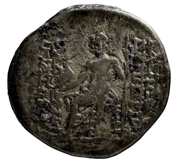 реверс Seleucid Coins (part 2) 1986.1