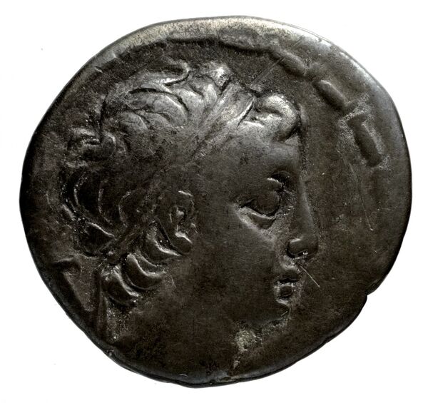 Seleucid Coins (part 2) 1986.1, аверс, BnF (HRC)