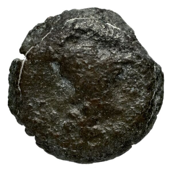 аверс Seleucid Coins (part 1) 1228