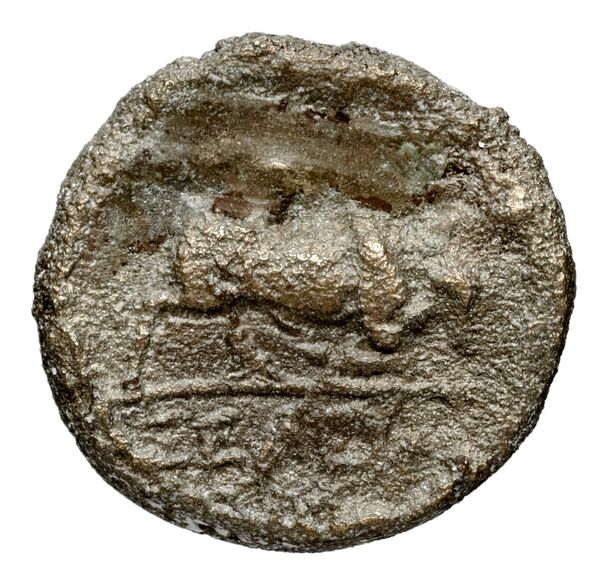 реверс Seleucid Coins (part 1) 192