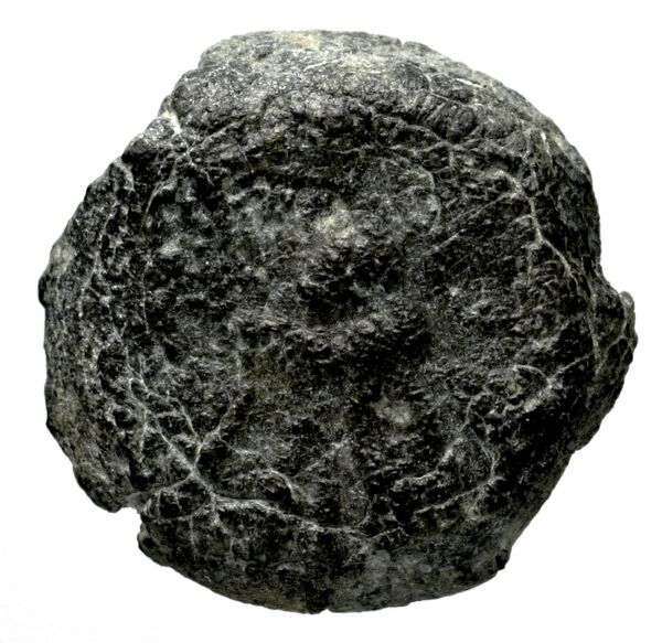 аверс Seleucid Coins (part 2) 1350