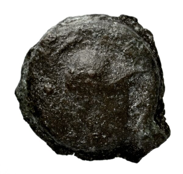 аверс Seleucid Coins (part 2) 1347