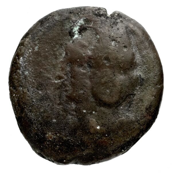 аверс Seleucid Coins (part 1) 754a
