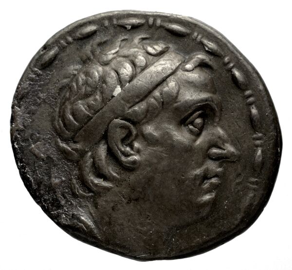 Seleucid Coins (part 1) 1115c, аверс, BnF (HRC)