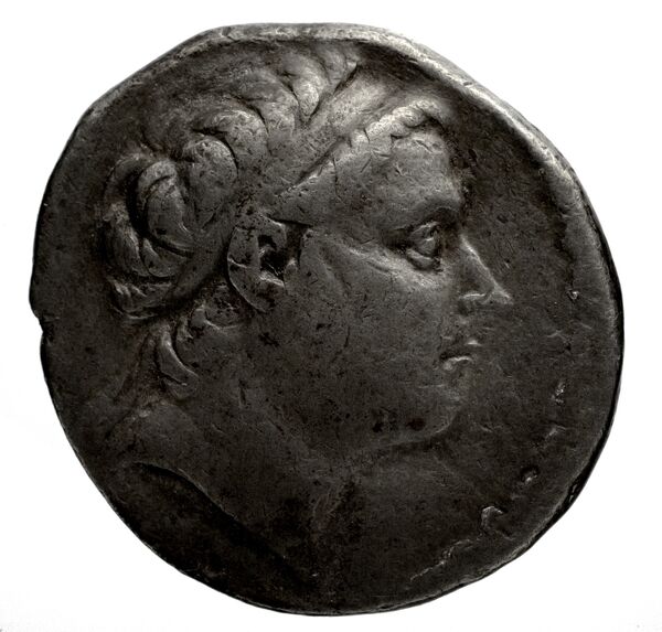 аверс Seleucid Coins (part 1) 1043.5