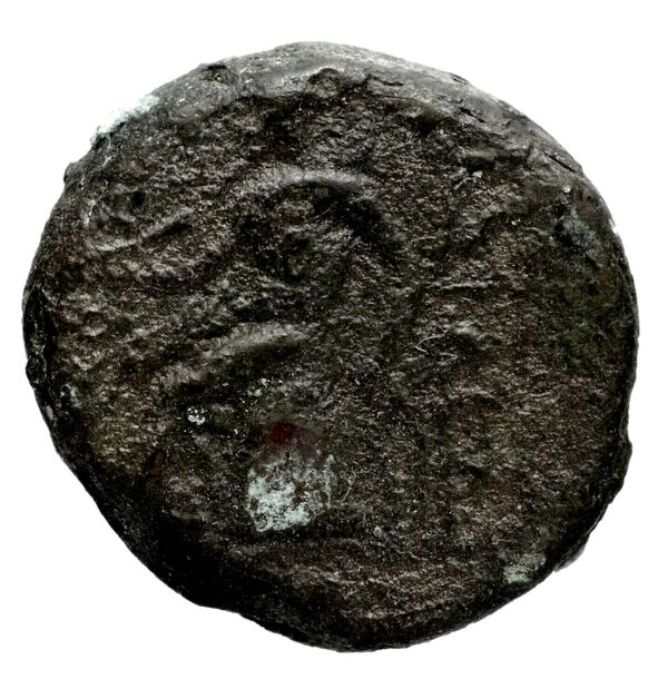 реверс Seleucid Coins (part 1) 1050.1