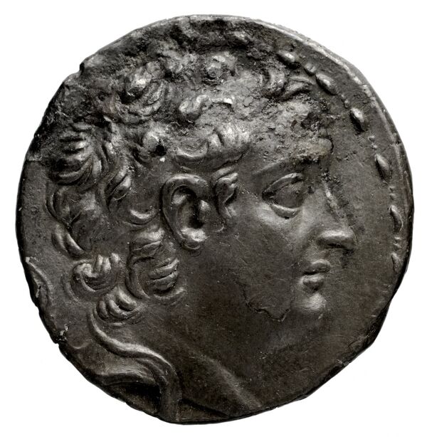 аверс Seleucid Coins (part 2) 1311