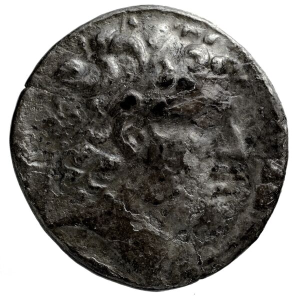 аверс Seleucid Coins (part 2) 1781.3e