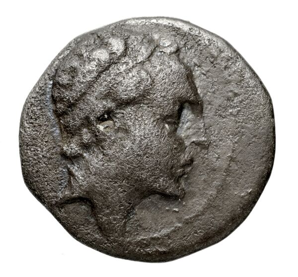 Seleucid Coins (part 2) 1559, аверс, BnF (HRC)