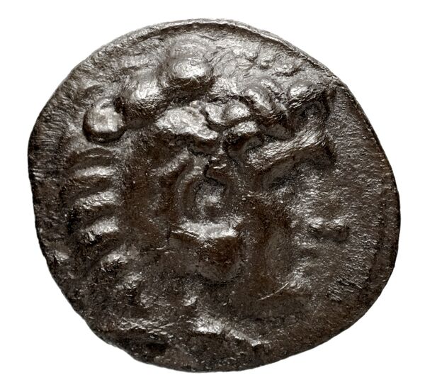 аверс Seleucid Coins (part 1) 358.5