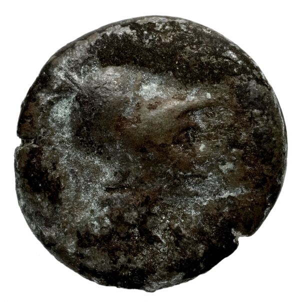 аверс Seleucid Coins (part 2) 1532