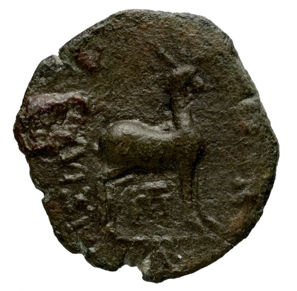 реверс Seleucid Coins (part 2) 1536.1