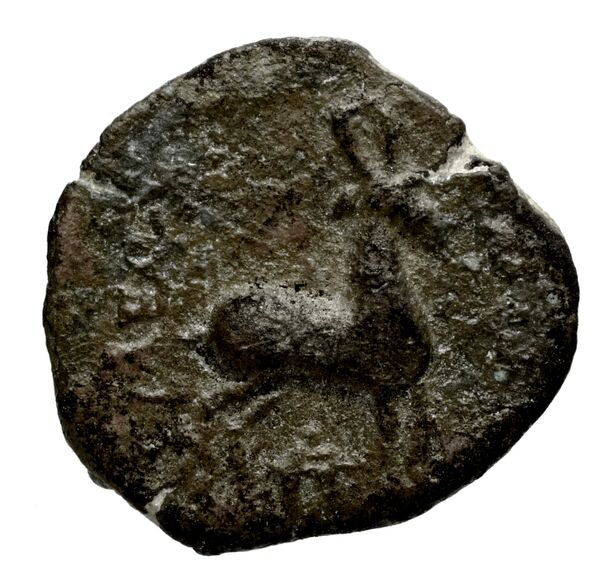 реверс Seleucid Coins (part 2) 1536