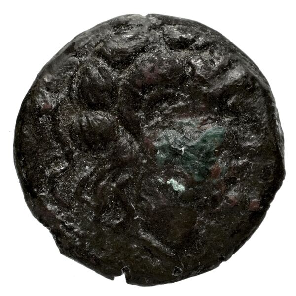 аверс Seleucid Coins (part 2) 1538