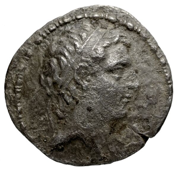 аверс Seleucid Coins (part 2) 1711.1