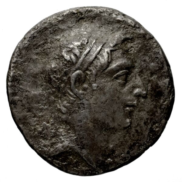 аверс Seleucid Coins (part 2) 1711