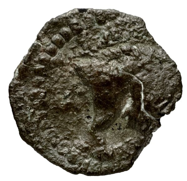 реверс Seleucid Coins (part 2) 1715