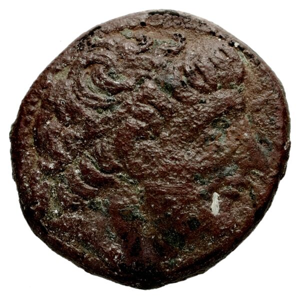 аверс Seleucid Coins (part 1) 403