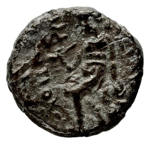 реверс Seleucid Coins (part 1) 404