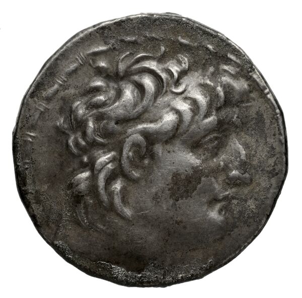 аверс Seleucid Coins (part 2) 2149.8