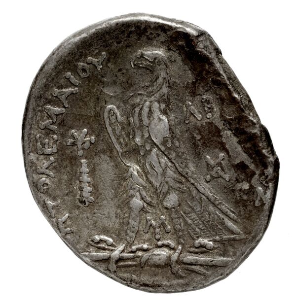 Coins of the Ptolemaic Empire Vol. I, Part 1, no. 591, реверс, BnF (HRC)