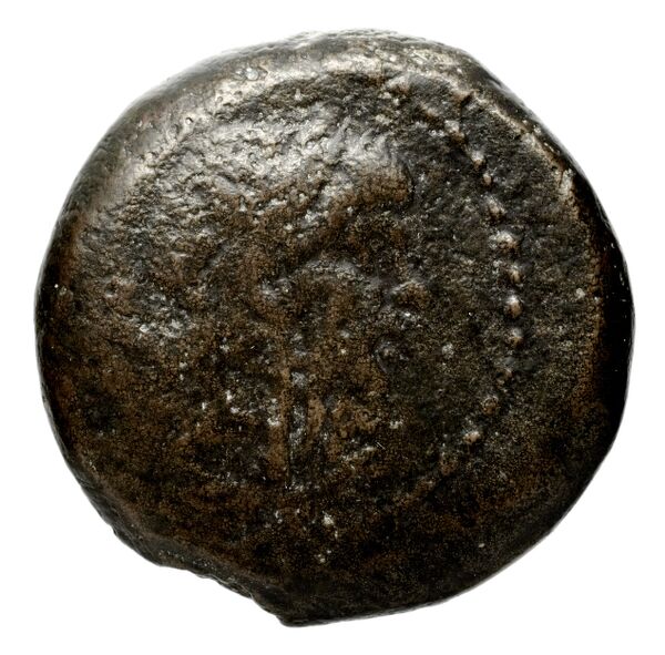 аверс Seleucid Coins (part 2) 1600