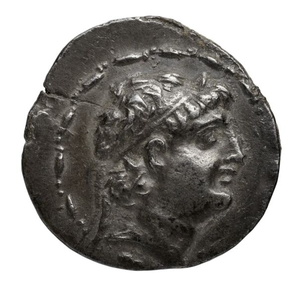 аверс Seleucid Coins (part 2) 2356