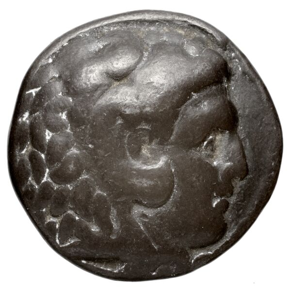 аверс Seleucid Coins (part 1) 82.3
