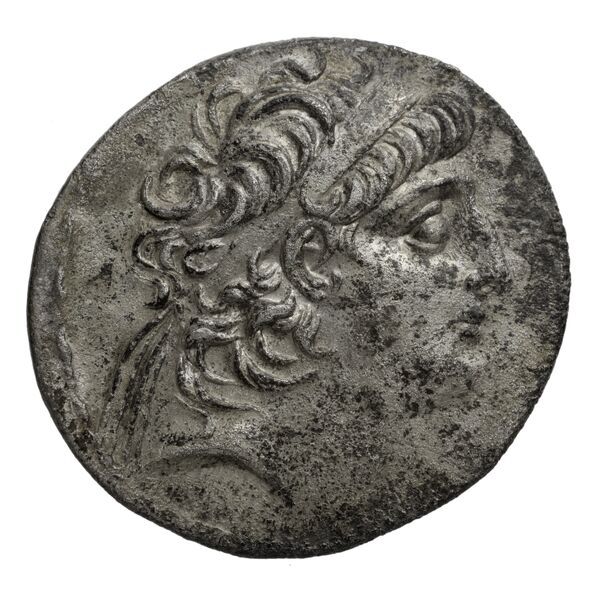 аверс Seleucid Coins (part 2) 2323.3