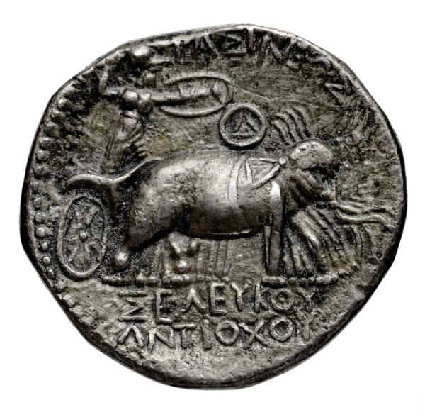 реверс Seleucid Coins (part 1) 279.1