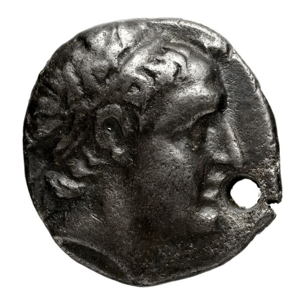 аверс Seleucid Coins (part 2) 1363