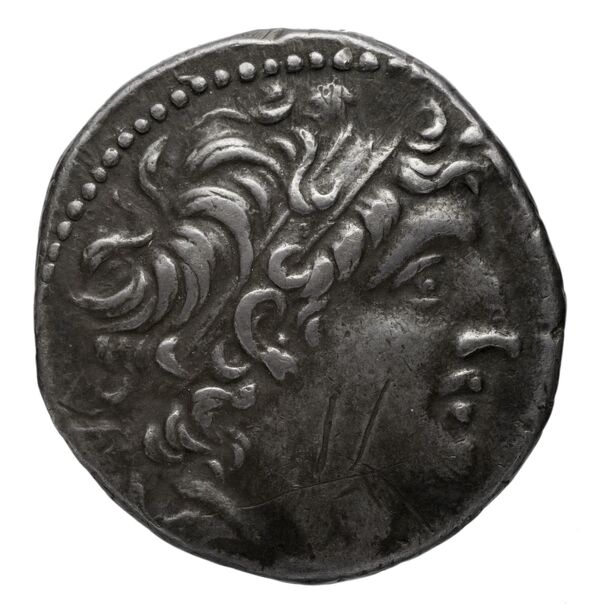 аверс Seleucid Coins (part 2) 2340.3b