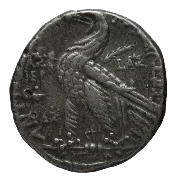 реверс Seleucid Coins (part 2) 2340.3b