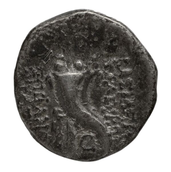 реверс Seleucid Coins (part 2) 2420