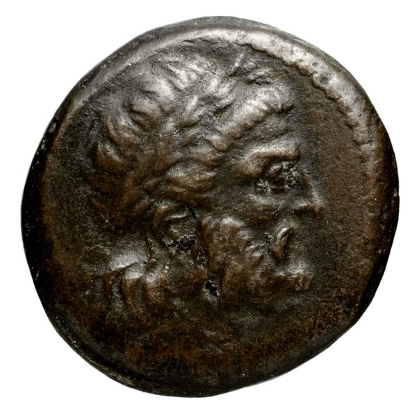 аверс Seleucid Coins (part 1) 949.2