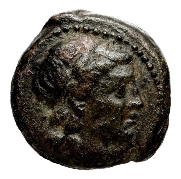 Seleucid Coins (part 2) 1339, аверс, bnf-hrc
