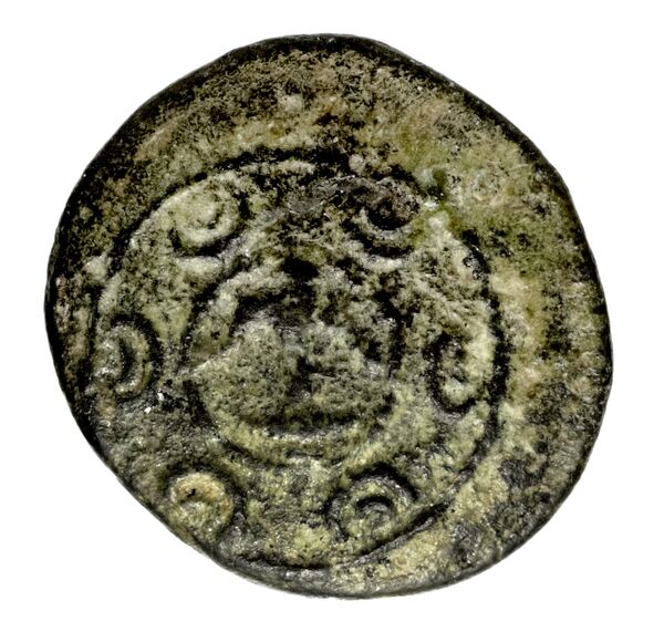 Seleucid Coins (part 1) 341, аверс, bnf-hrc