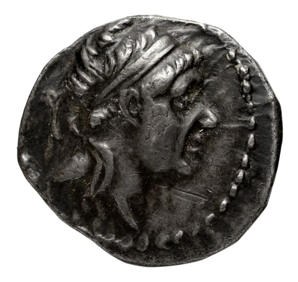 аверс Seleucid Coins (part 2) 1593