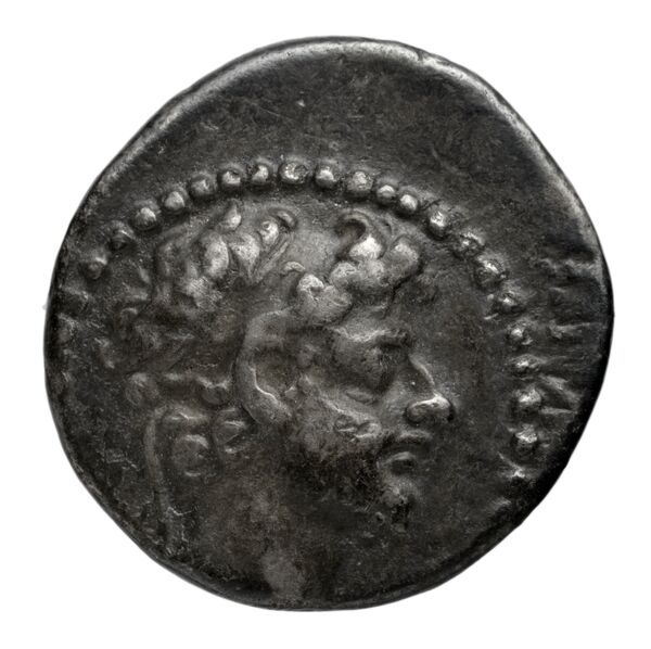 аверс Seleucid Coins (part 2) 2416