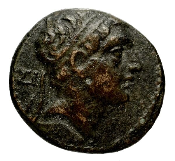 аверс Seleucid Coins (part 2) 1666.5