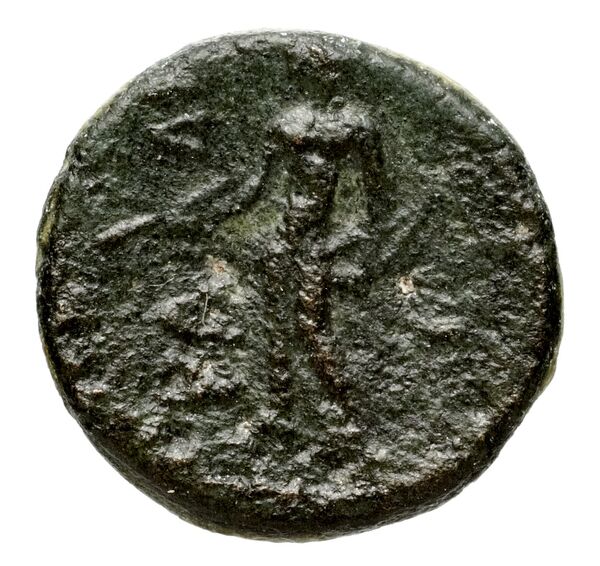 реверс Seleucid Coins (part 2) 1670.1