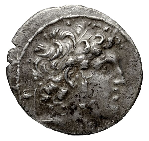 аверс Seleucid Coins (part 2) 1781.3b