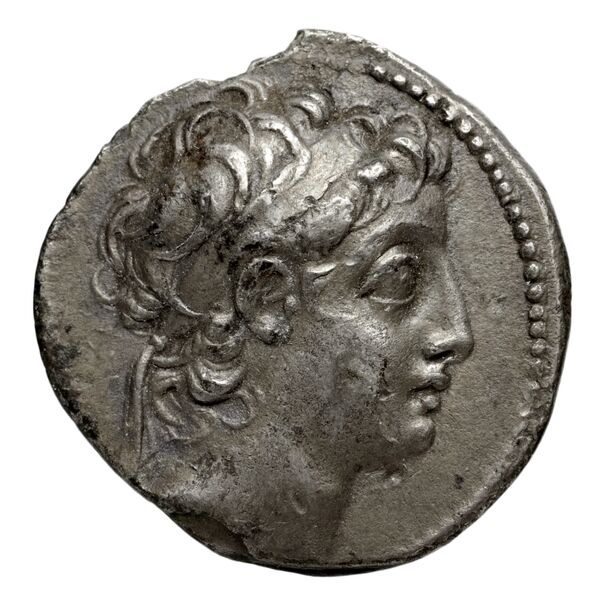 аверс Seleucid Coins (part 2) 1908.1