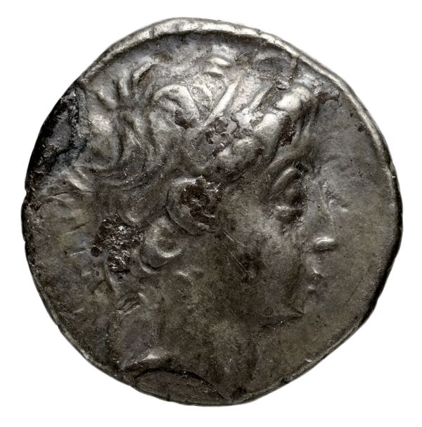 аверс Seleucid Coins (part 2) 1908.4f